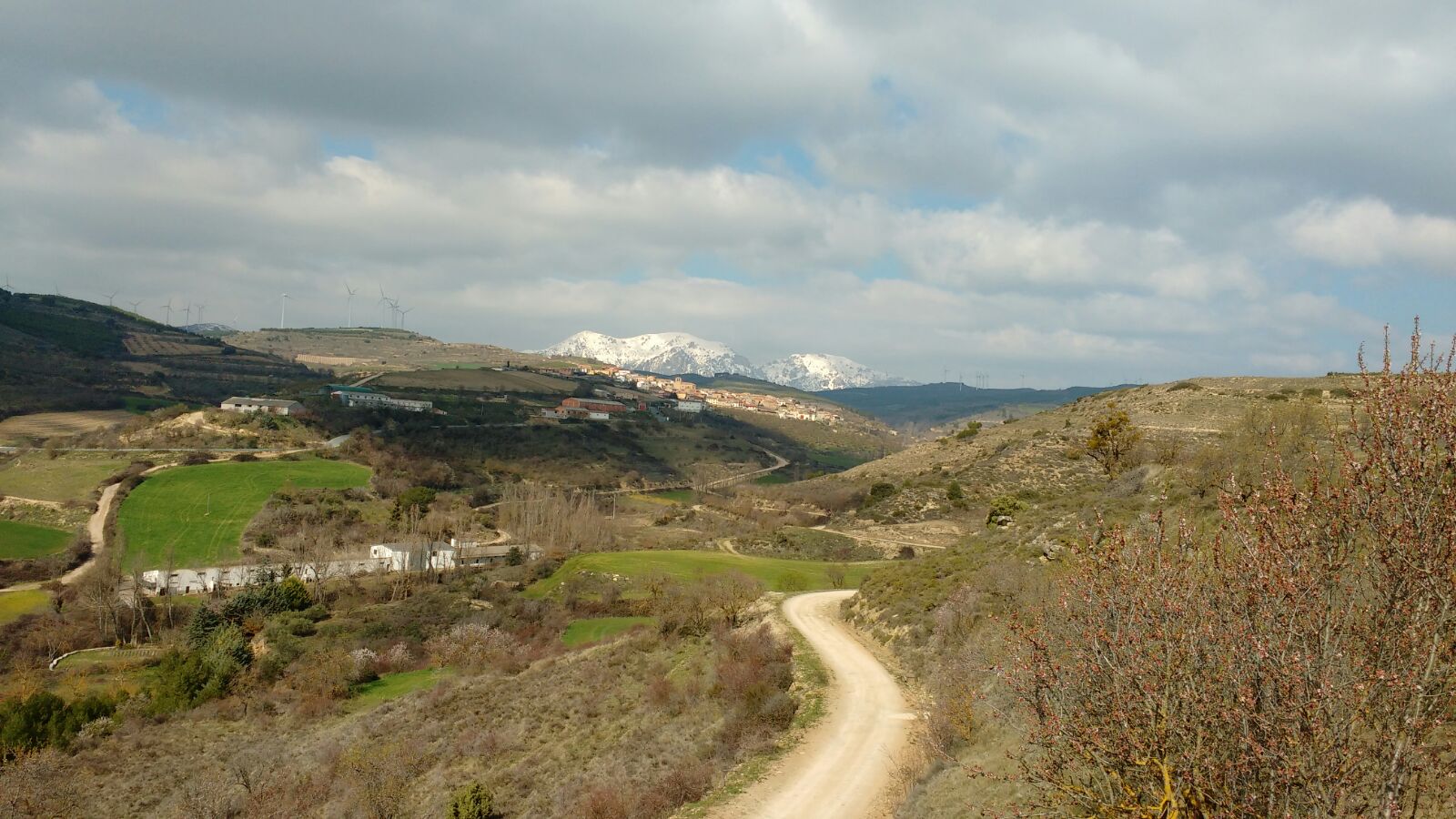ARAS 4