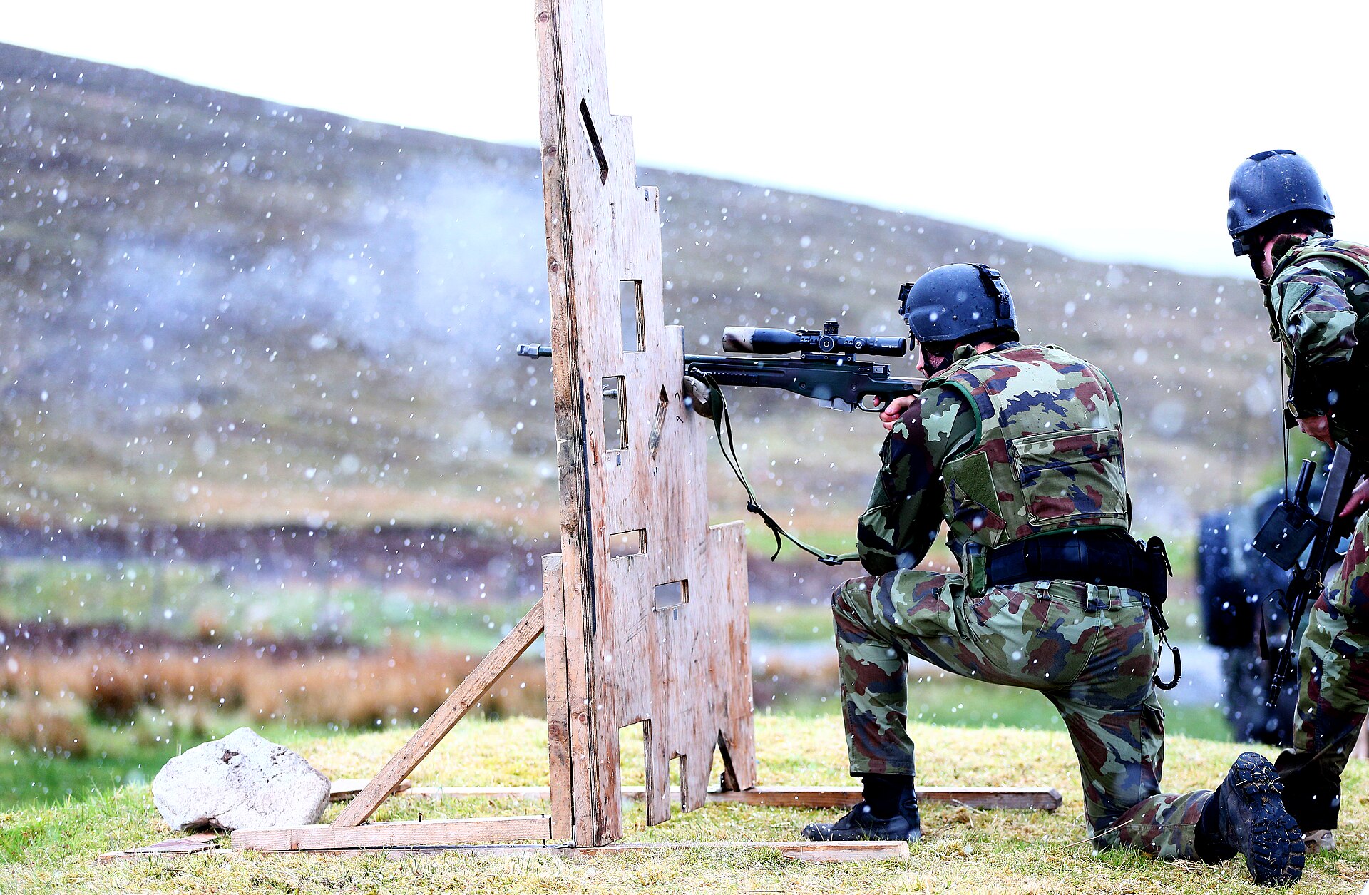 Army Ranger Wing 2