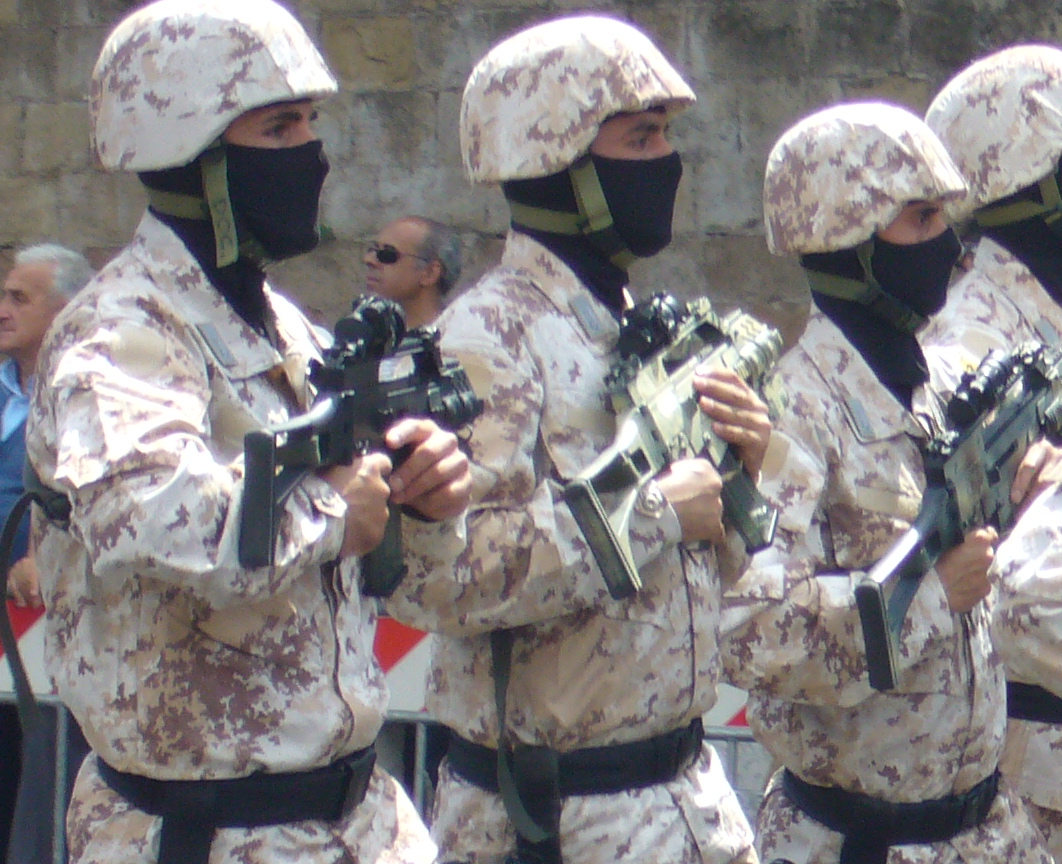 GIS (Carabinieri) 4