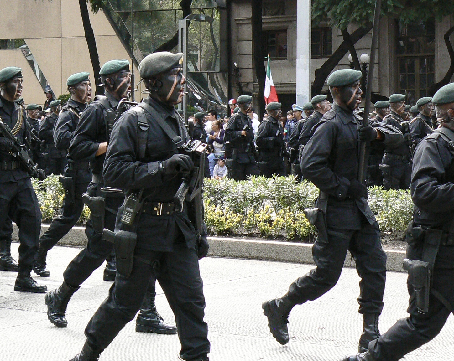 Cuerpo de Fuerzas Especiales