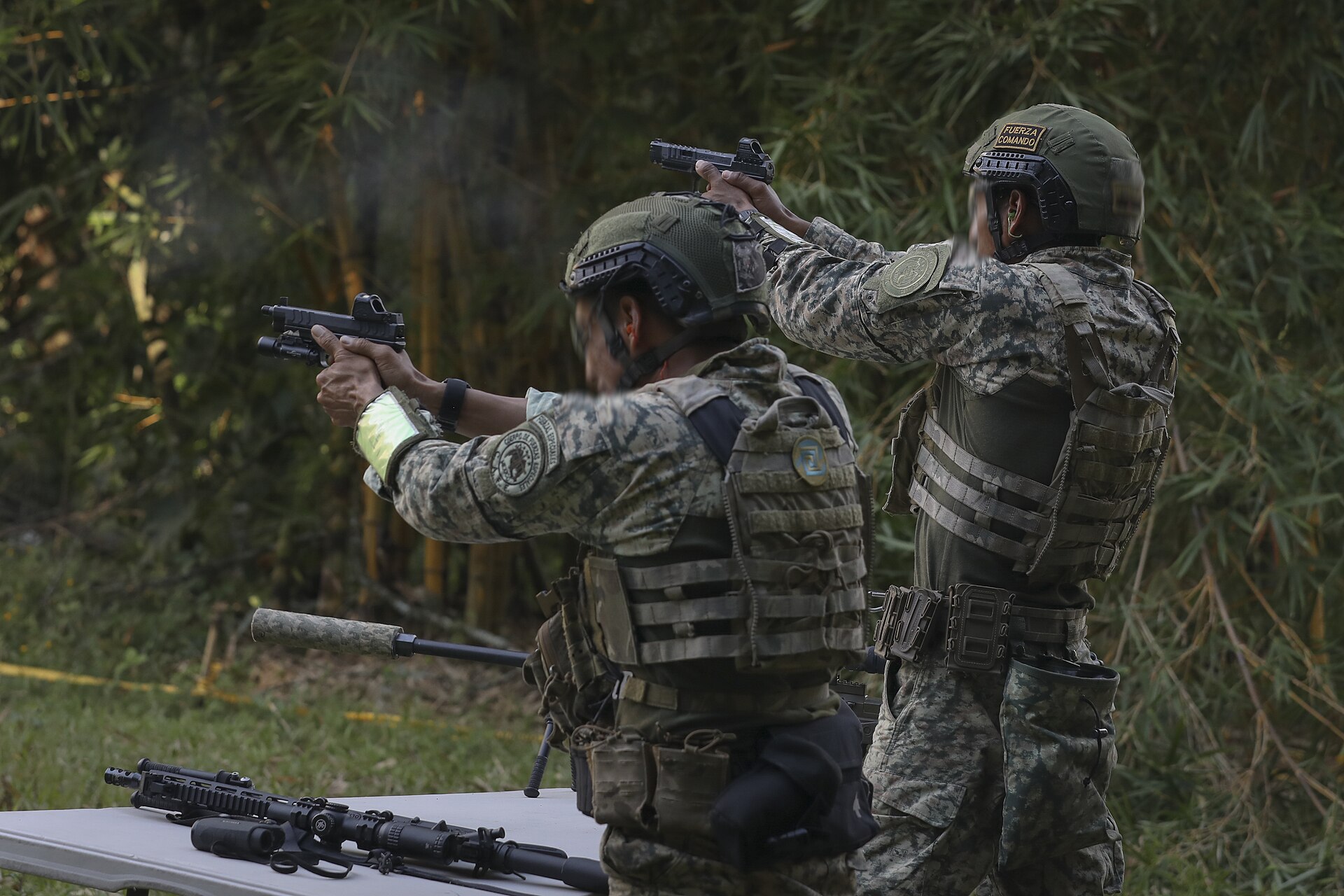 Cuerpo de Fuerzas Especiales 2